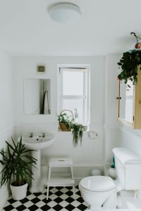 A bathroom with Green plants everywhere and a toilet and sink. 